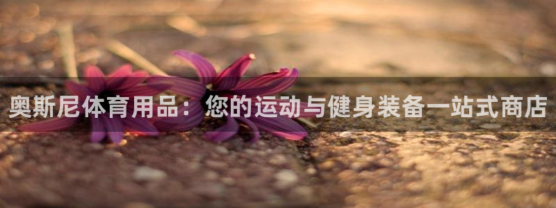 欧陆平台：奥斯尼体育用品：您的运动与健身装备一站式商