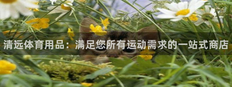 欧陆娱乐注册平台：清远体育用品：满足您所有运动需求的