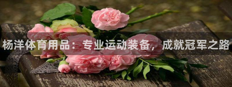 欧陆娱乐注册代理多少钱一个月