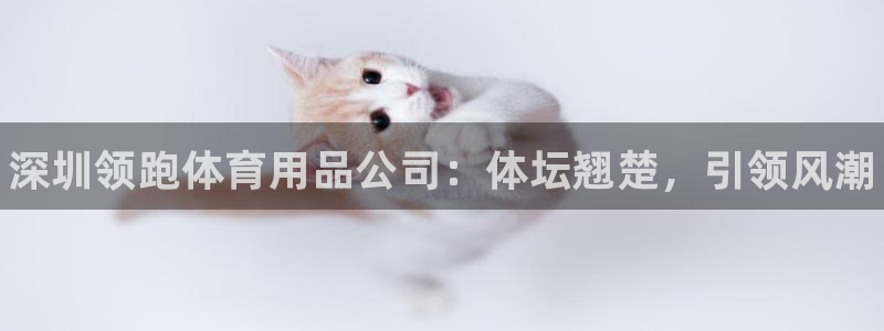 欧陆娱乐平台咋样赚钱快：深圳领跑体育用品公司：体坛翘楚，引领